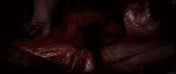 010041nldxpyasdxoaeyad.gif