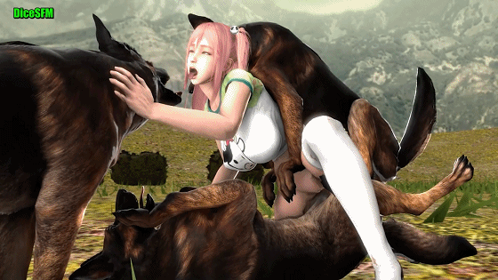 105010lmo50i51k1mm0obk.gif