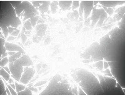124205x9qdd1ehnnqm9gxm.gif