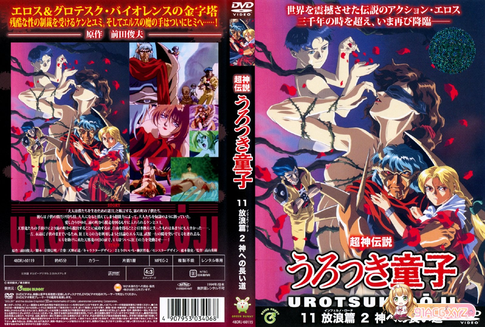 cover 11.jpg