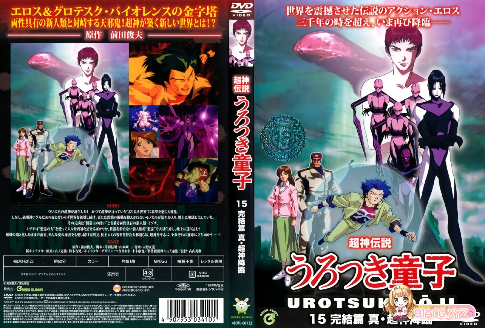 cover 13.jpg