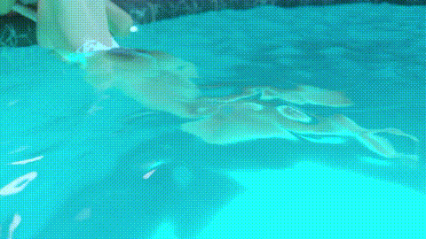 HPX80f2.gif