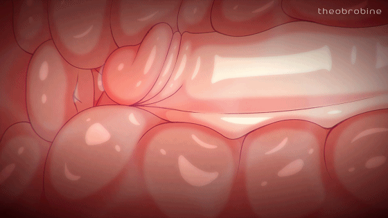 0cf7bef473453970550df6b2a88d3848.gif