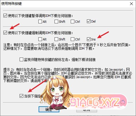 OD下载工具：IDM以及使用方法-第4张-教程-次元小屋-ACG交流分享论坛