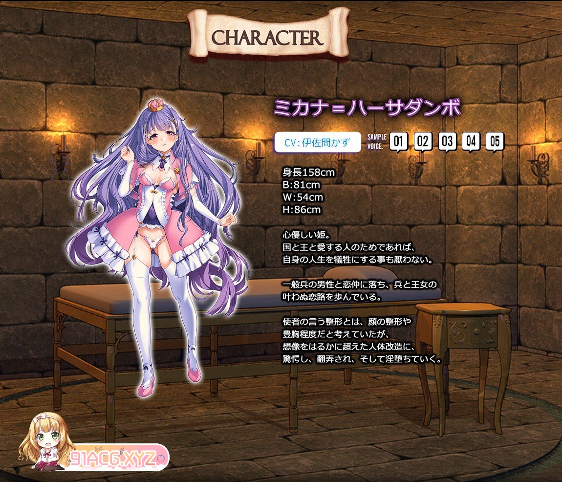 [支配改造ADV/汉化/重口]女体狂乱公主 AI汉化版+全CG存档[新汉化][FM/1.6G/百度]-第2张-游戏-次元小屋-ACG交流分享论坛