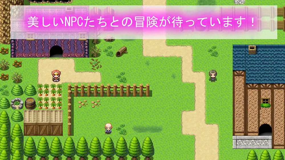 [RPG/PC/机翻汉化] 您可以对NPC为所欲为吗？ NPCに対しては自由にできますか?  [FM/400M/夸克OD]-第2张-游戏-次元小屋-ACG交流分享论坛
