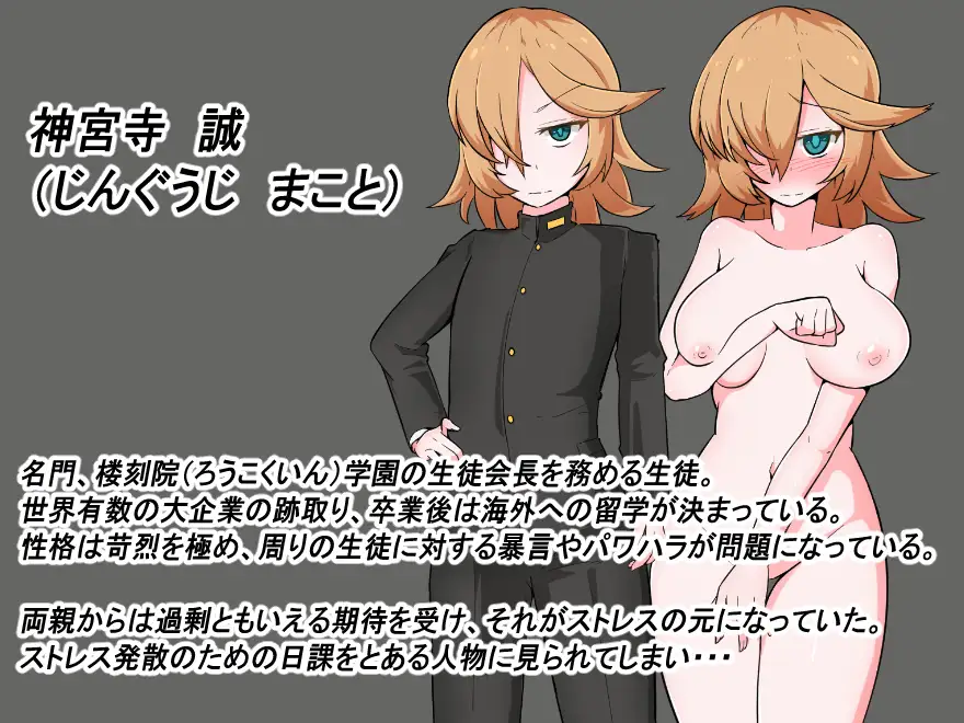 [RPG/PC/机翻汉化] 男装少女 ～封闭的学园～ 男装少女 ～閉ざされた学園～ Ver1.01 [FM/900M/夸克OD]-第5张-游戏-哥特动漫王国-ACG交流分享论坛