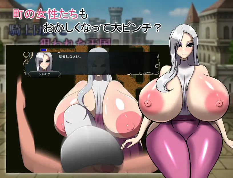[RPG/PC/AI汉化] 騎士団兵と狙われた王国 Ver.1.1.0 [FM/300M/夸克OD]-第3张-游戏-次元小屋-ACG交流分享论坛