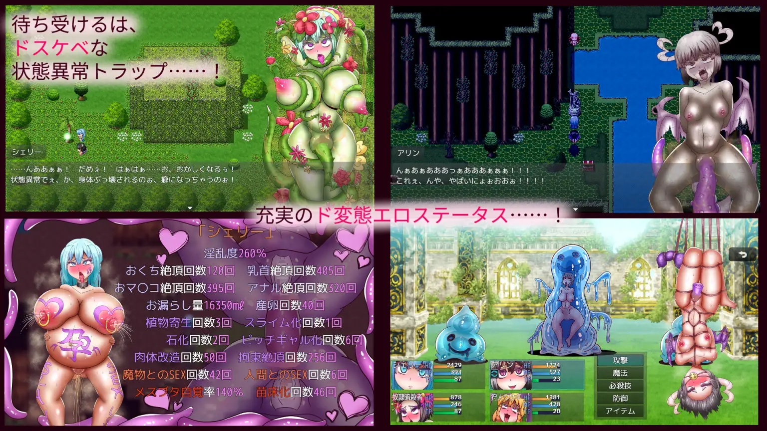 [RPG/PC/机翻汉化] アヘ顔の森～Forest Of Ahheee!!～ Ver1.02 [FM/700M/夸克OD]-第4张-游戏-风花雪月-ACG交流分享论坛