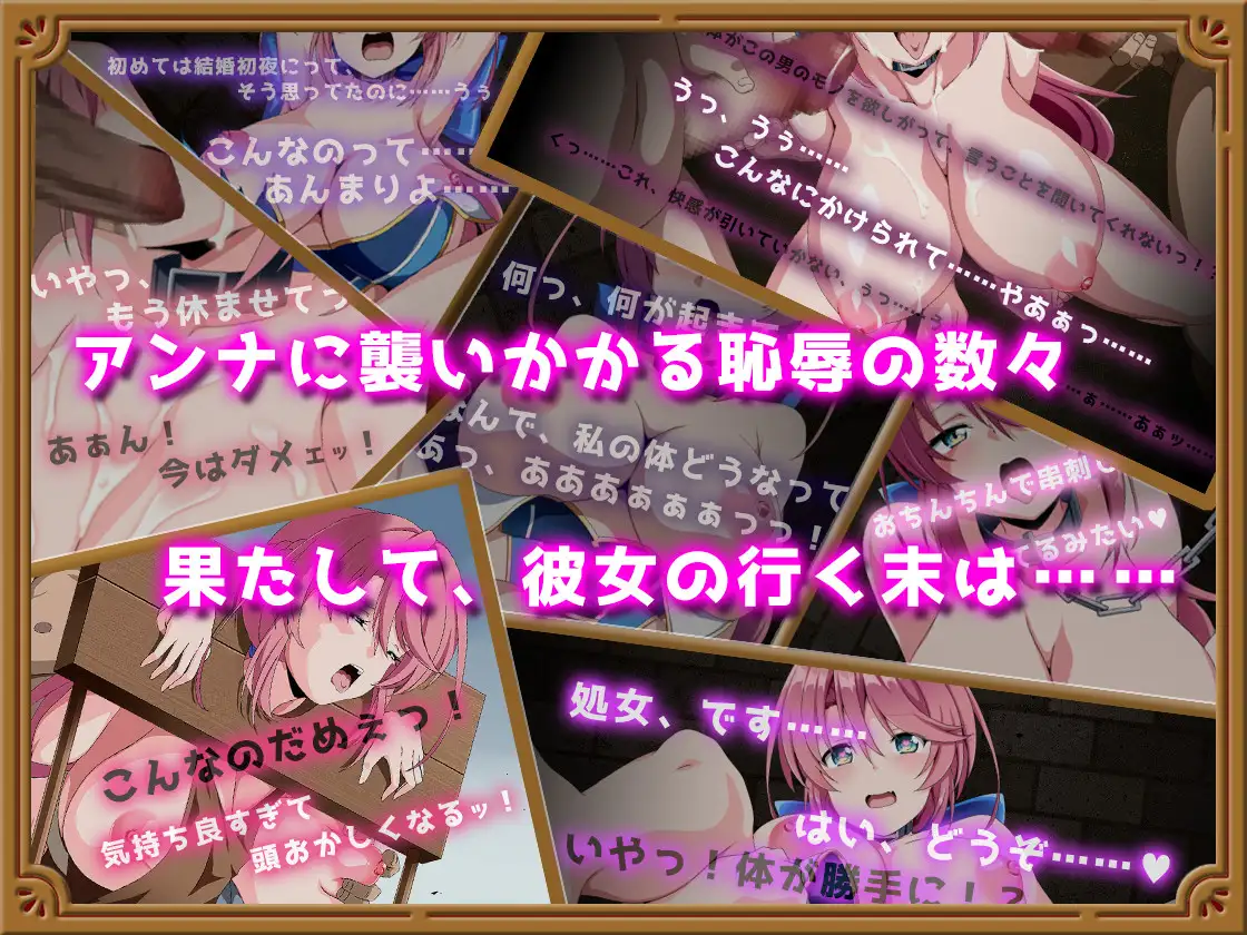 [RPG/PC/AI汉化] 骑士安娜-奴隶调教记录 - 騎士アンナ-奴○調教記録 - [FM/400M/夸克OD]-第5张-游戏-次元小屋-ACG交流分享论坛