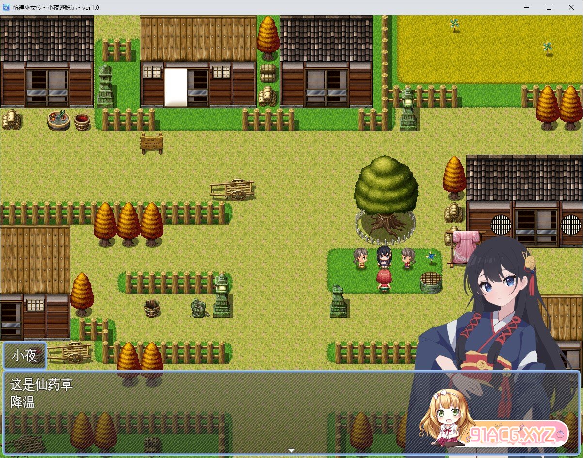 [RPG/汉化]彷徨巫女传～小夜逃脱记～挂载AI汉化版+存档[新汉化][FM/1.1G/百度]-第2张-游戏-哥特动漫王国-ACG交流分享论坛