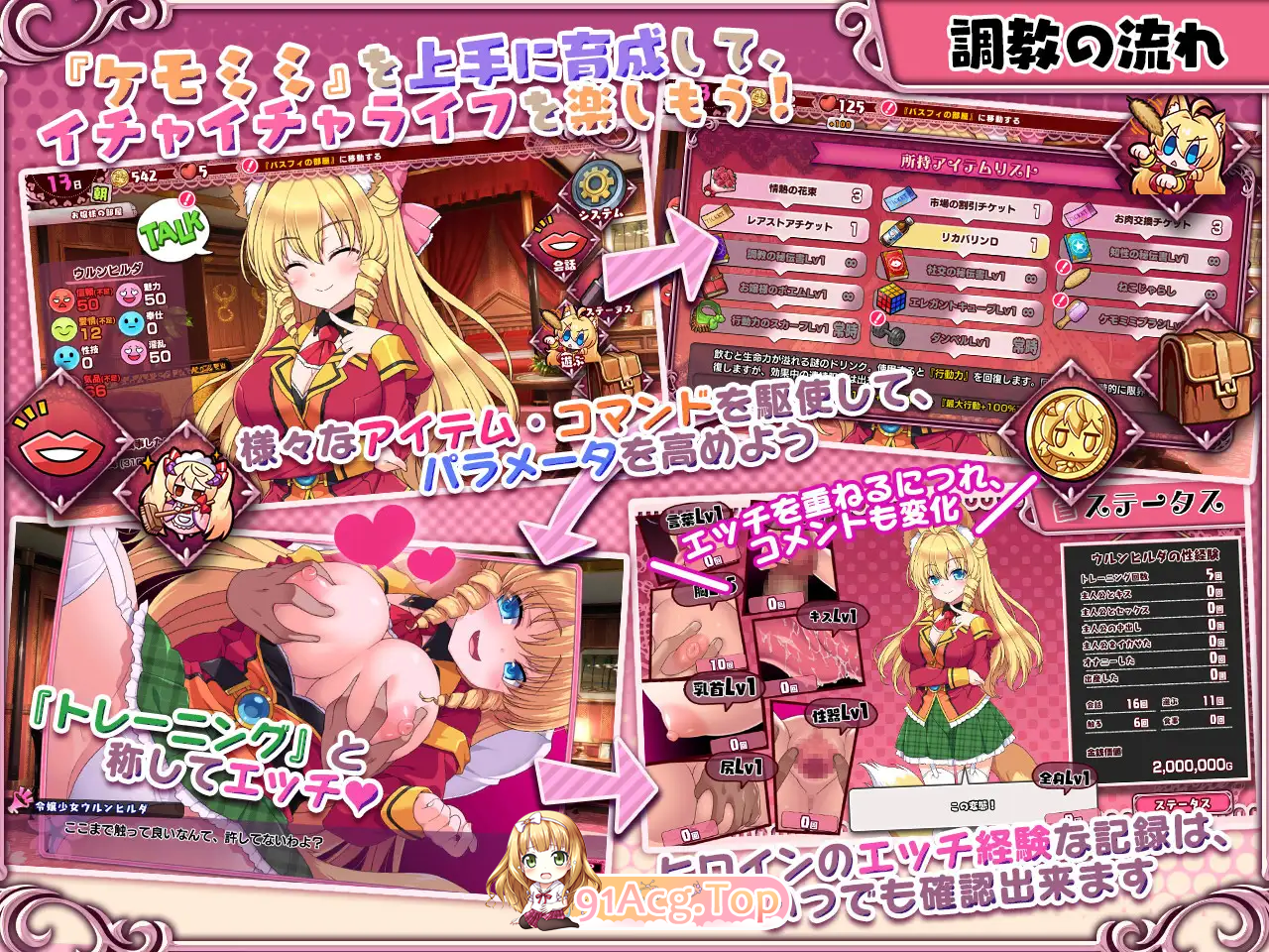 [SLG/PC/精翻汉化] 兽耳☆训练 ケモミミ☆トレーニンク ～狂暴けもみみ令嬢調教トライアル Ver1.0.10 [FM/600M/迅雷OD]-第3张-游戏-次元小屋-ACG交流分享论坛