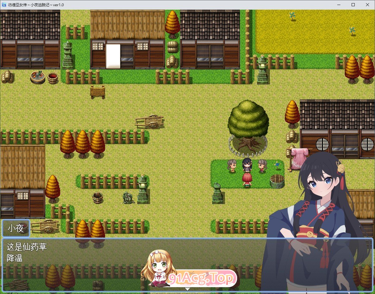 [RPG/汉化]彷徨巫女传～小夜逃脱记～V1.05 挂载AI汉化版+存档[更新][FM/1G/百度]-第2张-游戏-哥特动漫王国-ACG交流分享论坛