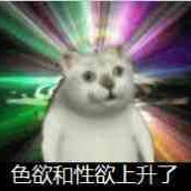 20200212497363_MWftei.png