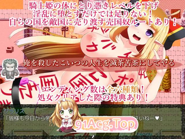 RPG/汉化]骑士姬库拉莉丝：本篇V1.06+外传官方中文步兵版+存档[FM/720M/百度]-第7张-游戏-次元小屋-ACG交流分享论坛