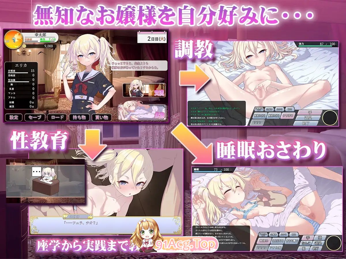 [调教互动SLG/汉化]懵懂无知的大小姐 挂载AI汉化版+存档[新汉化][FM/1.1G/百度]-第6张-游戏-次元小屋-ACG交流分享论坛