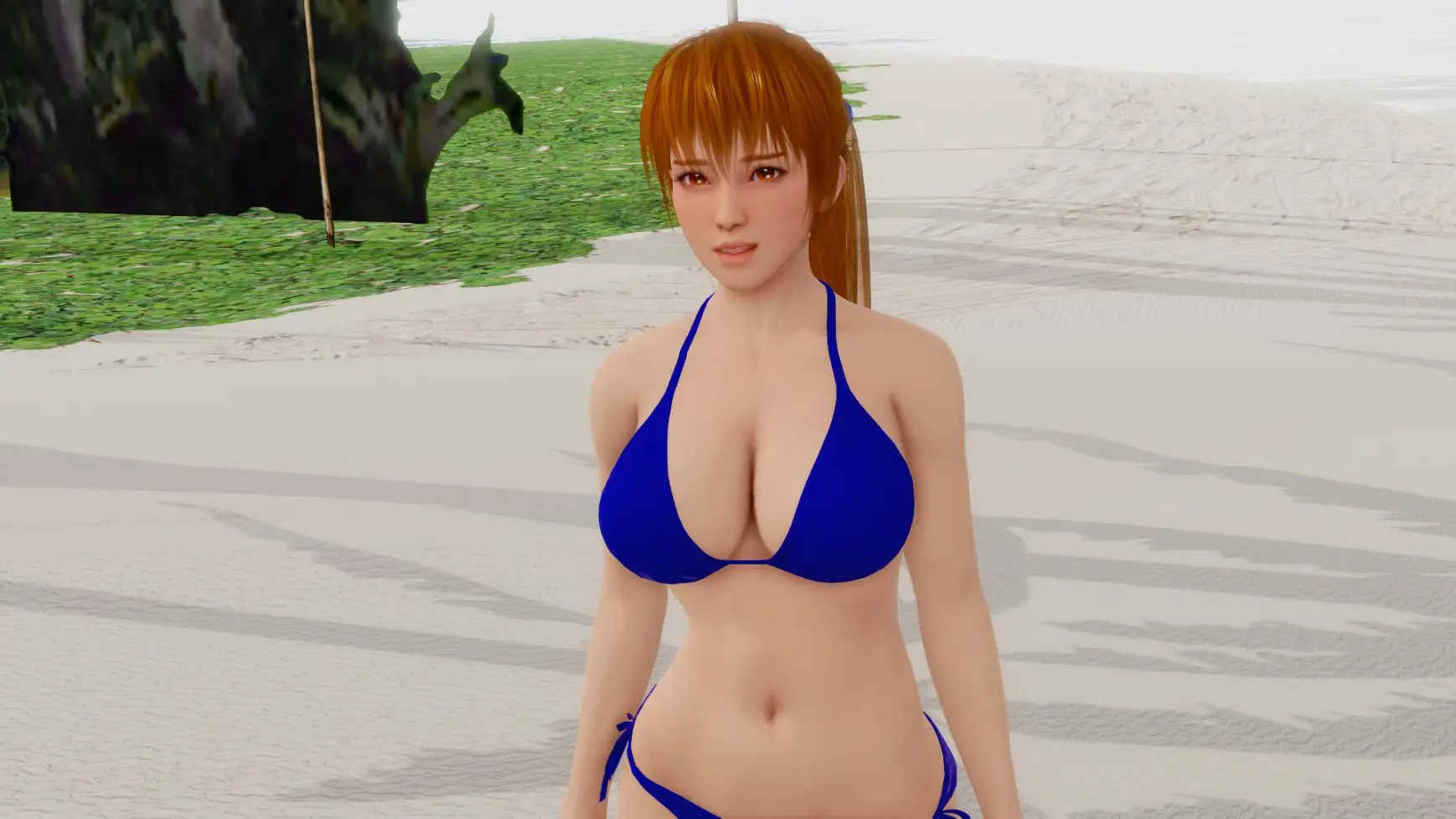 3987428_screenshot0009.jpg