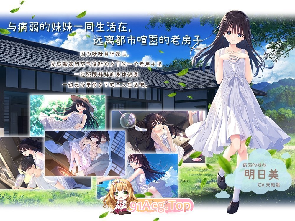 [精品RPG/中文]痴情哥哥与病弱妹妹的乡间生活 官方中文版+DLC[更新DLC][FM/3G/百度]-第4张-游戏-风花雪月-ACG交流分享论坛