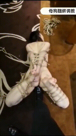 b_11fd36f8445318cdaf.gif