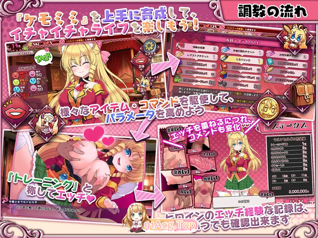 [SLG]  [迅雷云/UC/FM]兽耳☆训练 ～狂暴兽耳大小姐的养成～/ケモミミ☆トレーニング ～狂暴けもみみ令嬢調教トライアル/官中+动态 pc [666m-第2张-游戏-风花雪月-ACG交流分享论坛