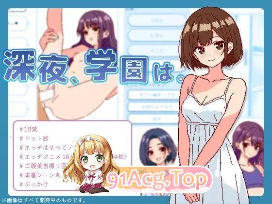 [像素SLG/中文]深夜学园 官方中文版[新作][FM/520M/百度]-第6张-游戏-次元小屋-ACG交流分享论坛
