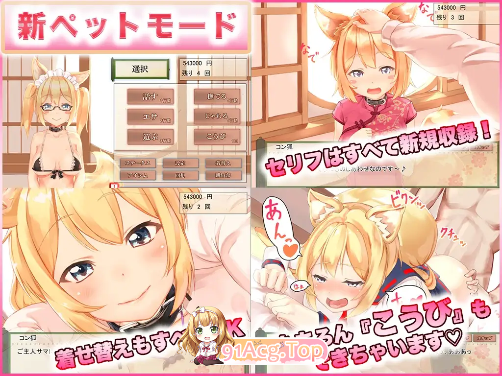 [互动/养成SLG/中文/动态]我与空狐的日常+～完美官方中文版[FM/3.7G/百度]-第10张-游戏-次元小屋-ACG交流分享论坛