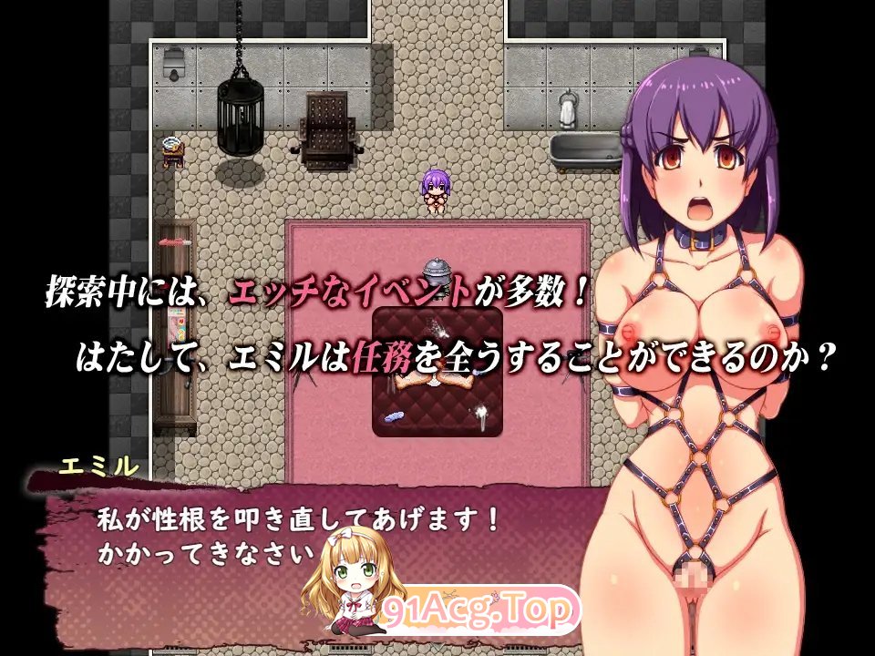 [APRG/汉化]潜入特工 艾米尔 三名拷问官 AI汉化版+全CG存档[FM/百度/微云] [600M]-第6张-游戏-次元小屋-ACG交流分享论坛