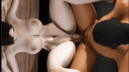 [3D动画/VAM] 新作：Ai蒙面sex-第4张-动漫-风花雪月-ACG交流分享论坛