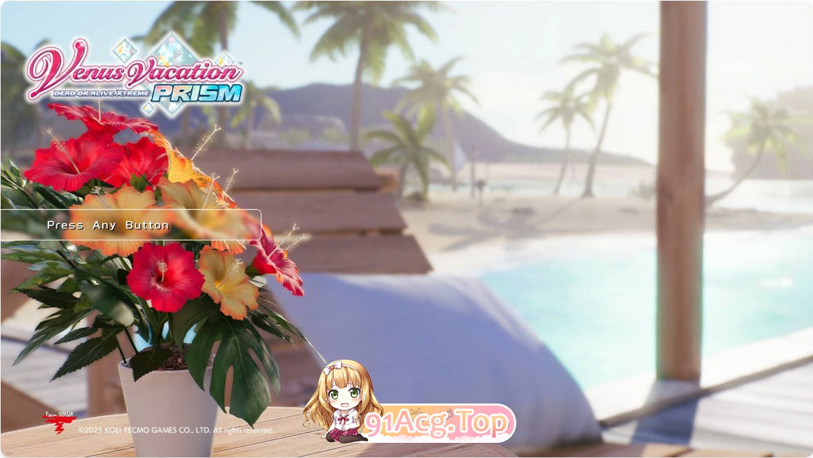[SLG/动态/官中]维纳斯璀璨假期：死或生XTREME版 v1.05 官方中文版[FM/百度/微云][12G]-第1张-游戏-次元小屋-ACG交流分享论坛