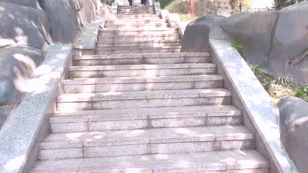 d_6d495ad7f6910d270.gif