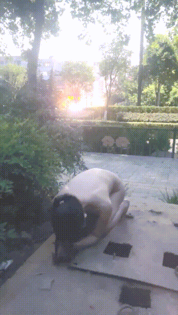 m_10.gif
