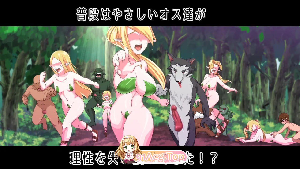 [ACT/汉化/动态]菲尔特～理性崩坏之森～挂载AI汉化版+存档[新汉化][FM/1.8G/百度]-第6张-游戏-次元小屋-ACG交流分享论坛