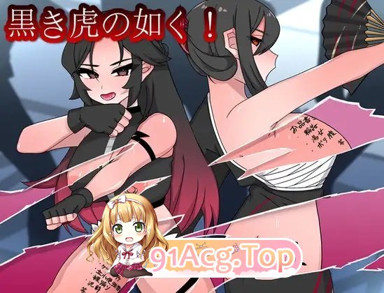[RPG/汉化]如黑虎般！挂载AI汉化版+存档[新汉化][FM/1.3G/百度]-第9张-游戏-哥特动漫王国