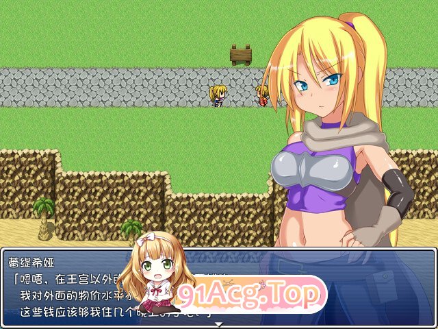 [爆款RPG/中文/换装]泽温公主V1.01 官方中文步兵版[FM/800M/百度]-第10张-游戏-次元小屋-ACG交流分享论坛