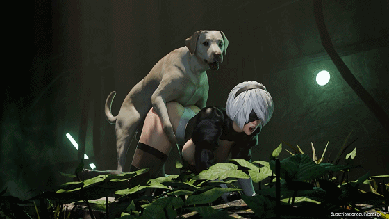 [3D/Bonkge] 7月新作：2B+艾玛 性感御姐超巨根暴力猛冲内射溢出大量精液 [205M/FM/百度]