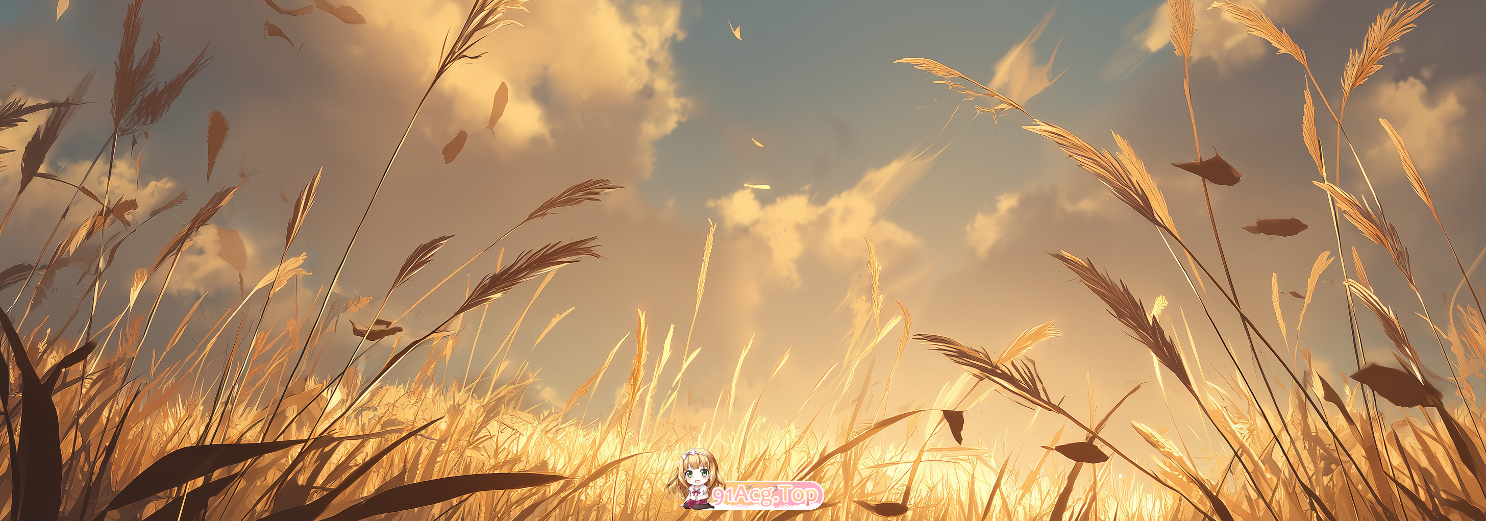 40.png