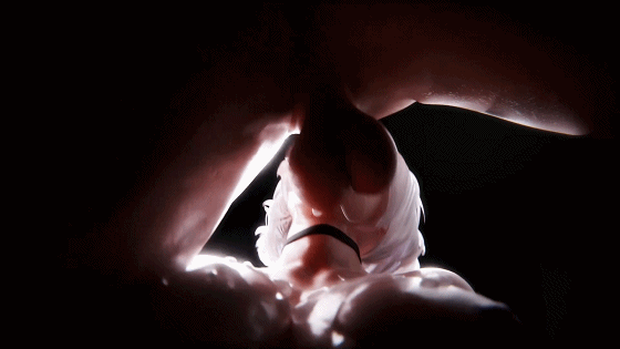 5.gif