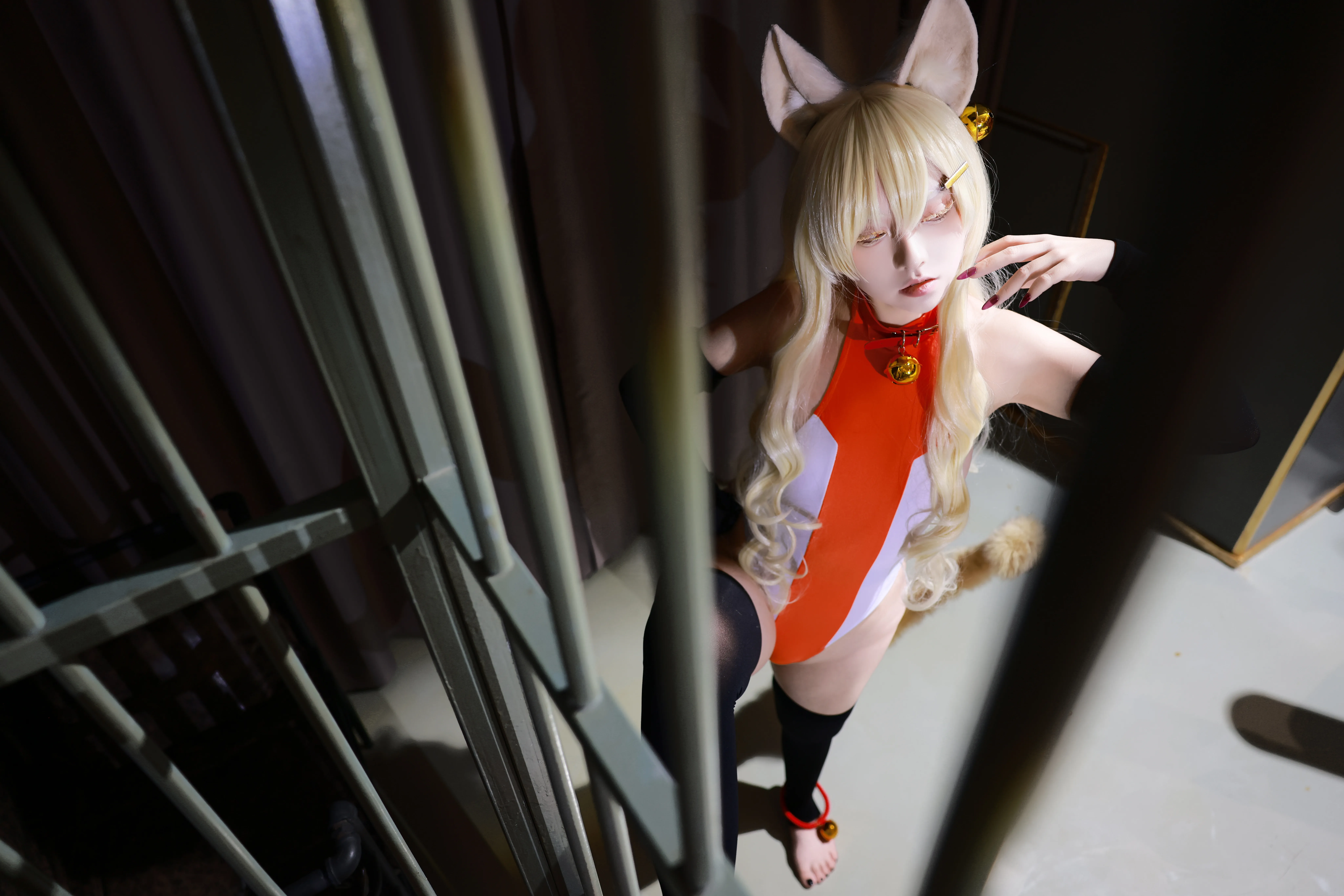 imagefc1a67b38946bb2e.jpg