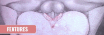 67f21f2a3c80f3.05390657_1_post_F6UzJ11392.gif