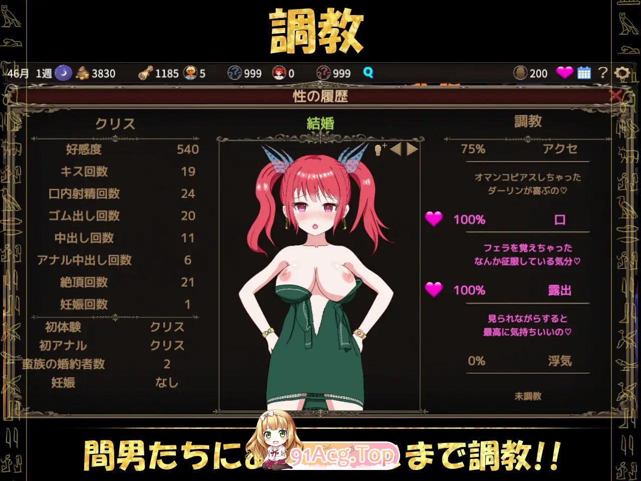 [SLG]  [迅雷云/FM]蛮族的侵略 - 被强娶豪夺的村庄/蛮族に狙われた村～村丸ごと寝取られちゃうシミュレーション～/官中+动态 pc [824m]