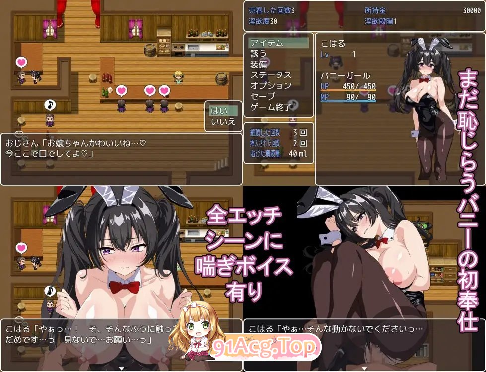 [RPG/汉化]卖春兔的快乐堕落RPG：逐渐堕入淫欲的兔女郎 挂载AI汉化版+存档[新汉化][FM/1.6G/百度]