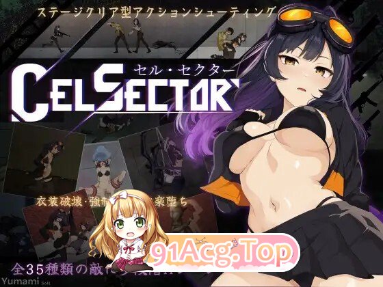 [ACT/动态/官中] CelSector Demo 动态官中版 [569M]