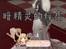 [3D][琉璃]  暗精灵的俘虏+女忍者的任务+公主与哥布林 [160P/200M/FM/百度]